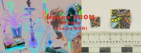 ешки Новокубанск