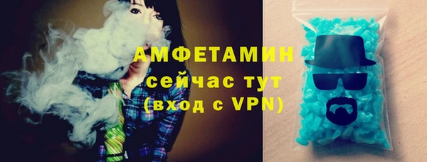 сатива Новозыбков