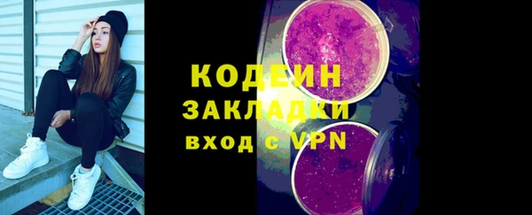сатива Новозыбков