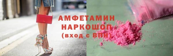 сатива Новозыбков