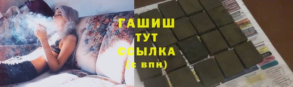 гашик Няндома