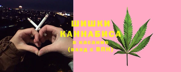 гашик Няндома