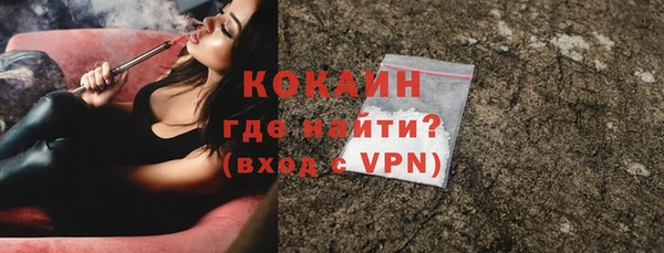 сатива Новозыбков