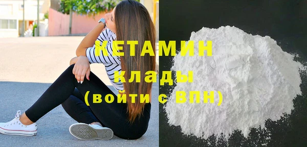 сатива Новозыбков