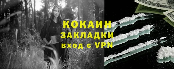 гашик Няндома