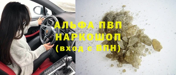 гашик Няндома