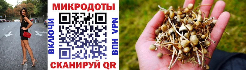 Псилоцибиновые грибы ЛСД Каневская